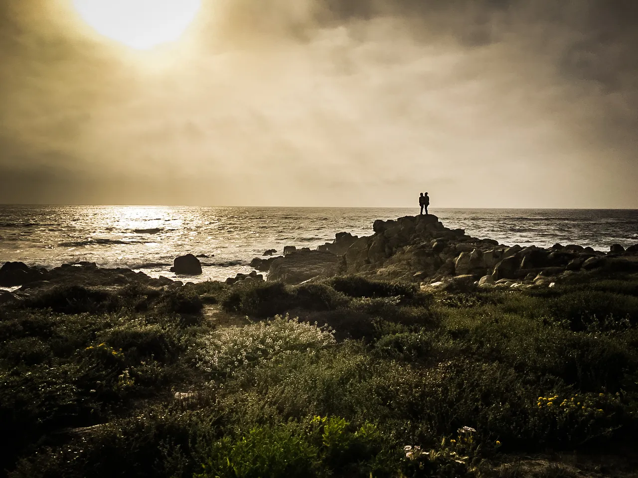 LANDSCAPES — Monterey, CA