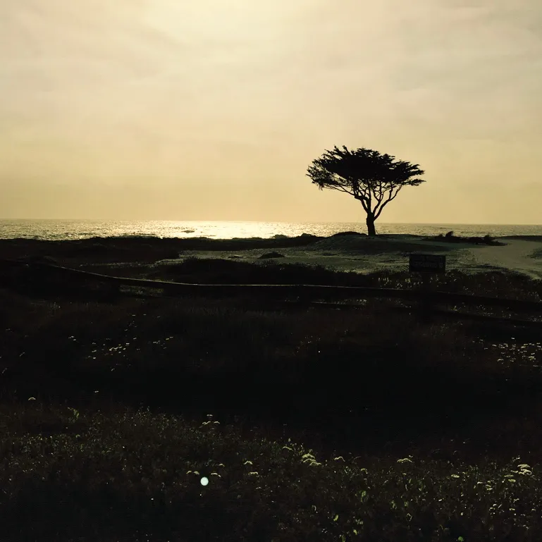 LANDSCAPES